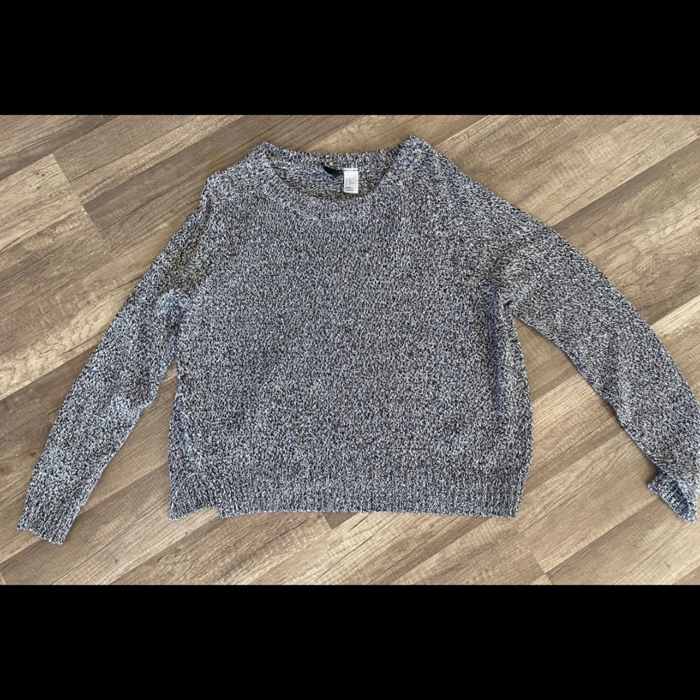 H&M Divided Cropped sweater